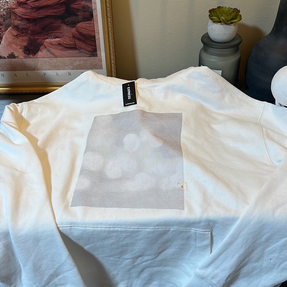 White Express Hoodie - NWT